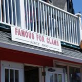 flos clam shack